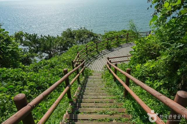 두여전망대 사진