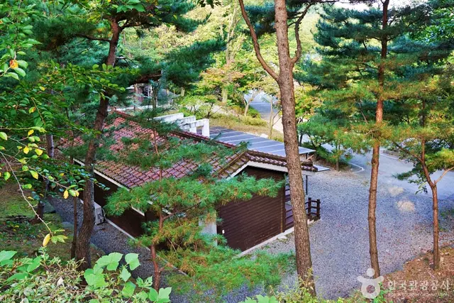 수레의산자연휴양림 사진