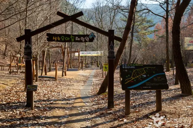 상소동 산림욕장 사진
