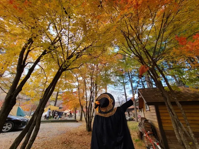 아트인아일랜드 사진