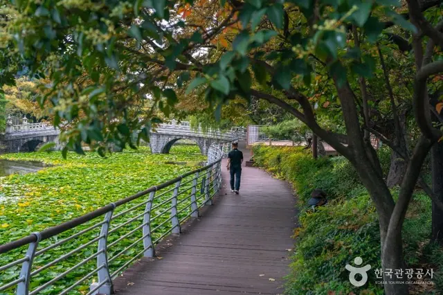 성당못 사진
