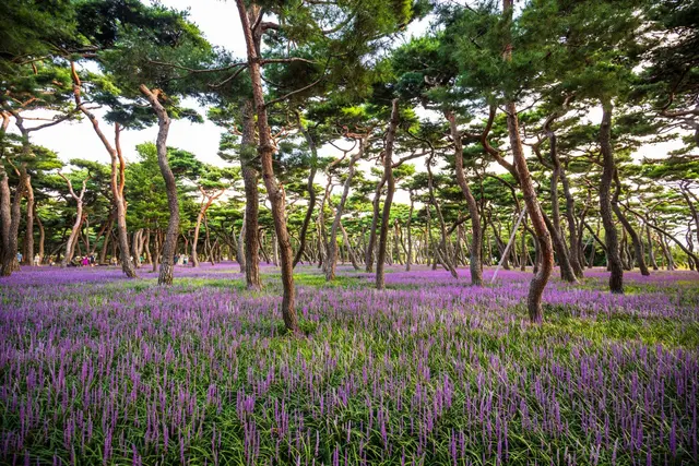 황성공원 사진