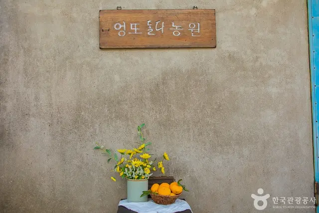엉또돌다카페앤농원 사진