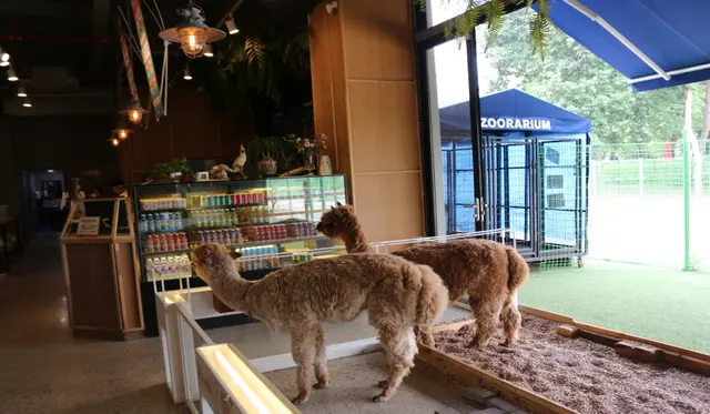쥬라리움 하남점 사진