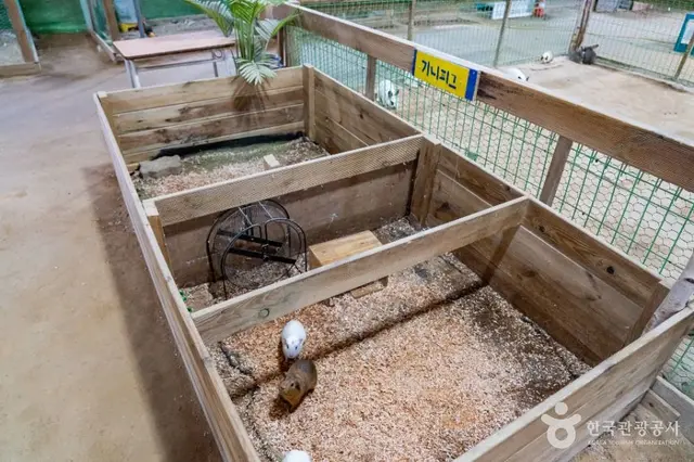 온동물체험농장 사진