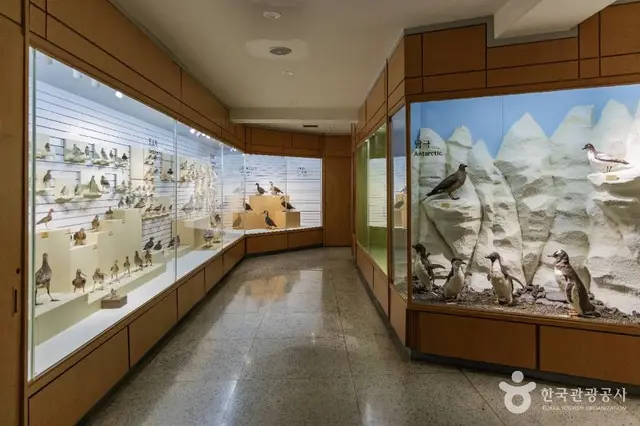 경희대학교 자연사박물관 사진