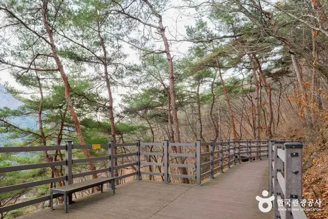 성불산자연휴양림 사진