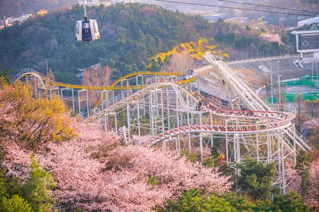 이월드 사진