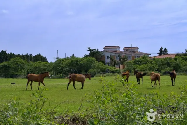 성이시돌목장 사진