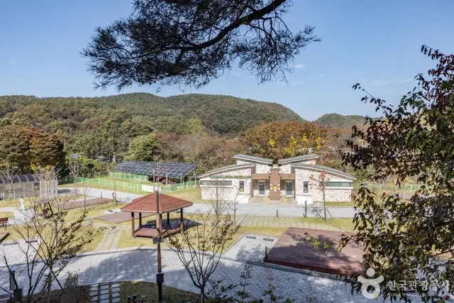 옥화자연휴양림 사진