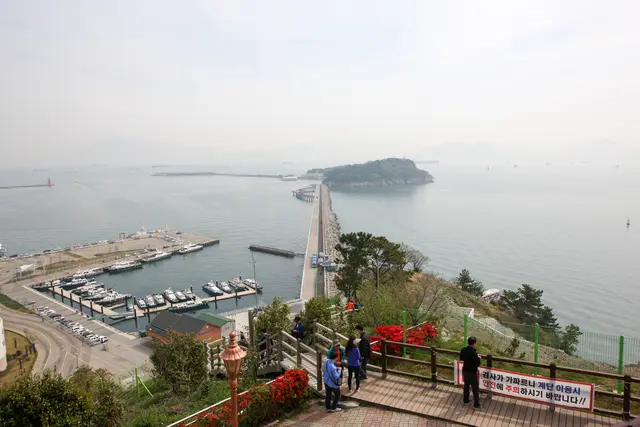 오동도 사진