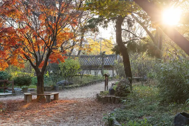 한국민속촌 사진