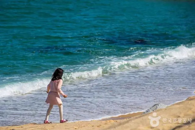 영진해변 사진