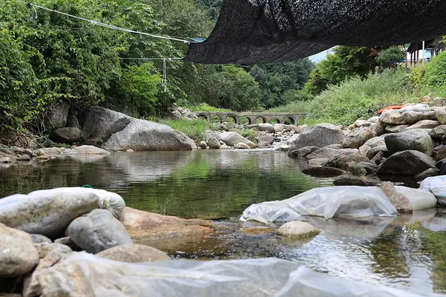 소백산꽃가람야영장 사진