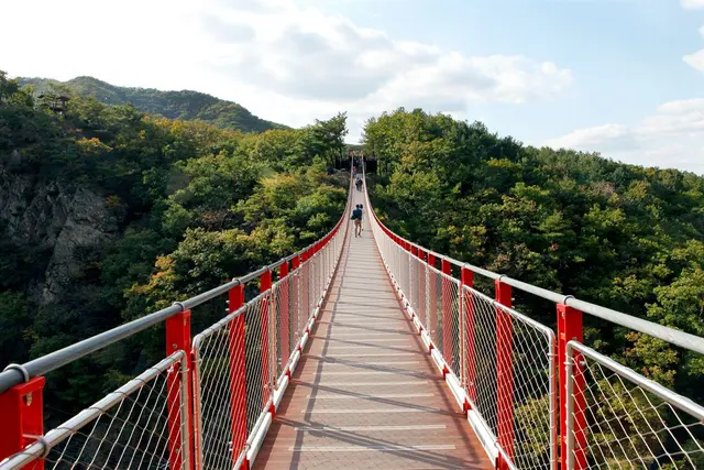 감악산 출렁다리 사진