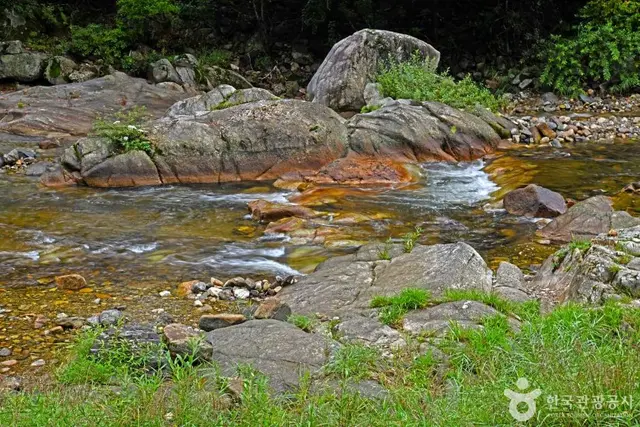 흥정계곡 사진