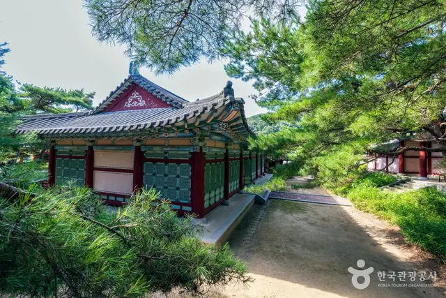 서동요테마파크 사진