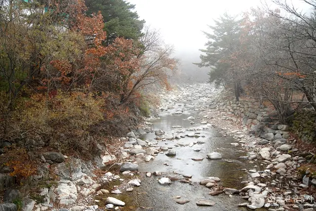 미시령계곡 사진
