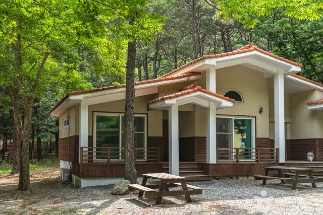 고산자연휴양림 사진