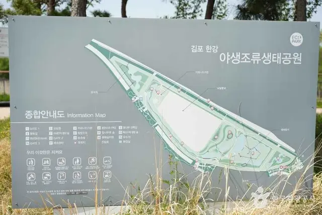 김포한강야생조류생태공원 사진