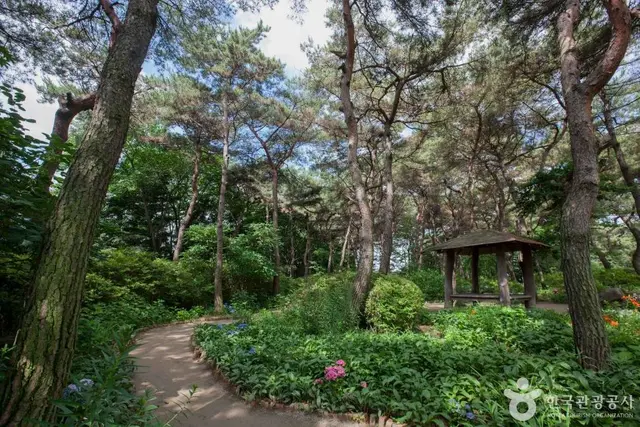 벽초지수목원 사진