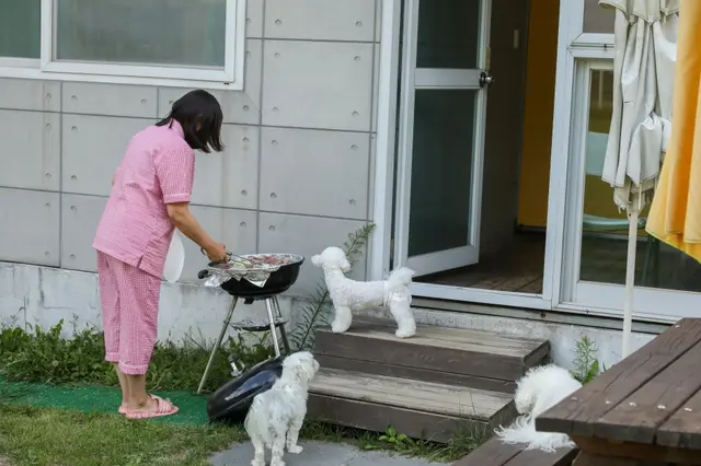 도그밀리(DOGMILY) 사진