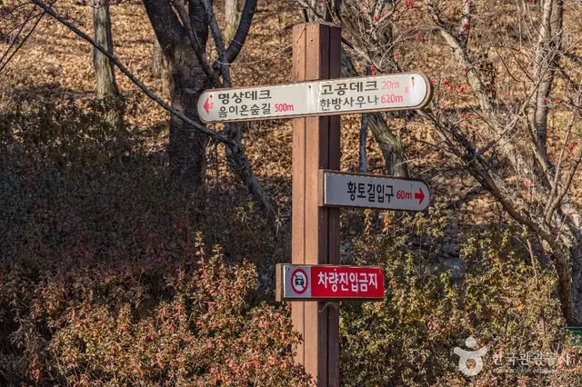 성주봉자연휴양림 사진