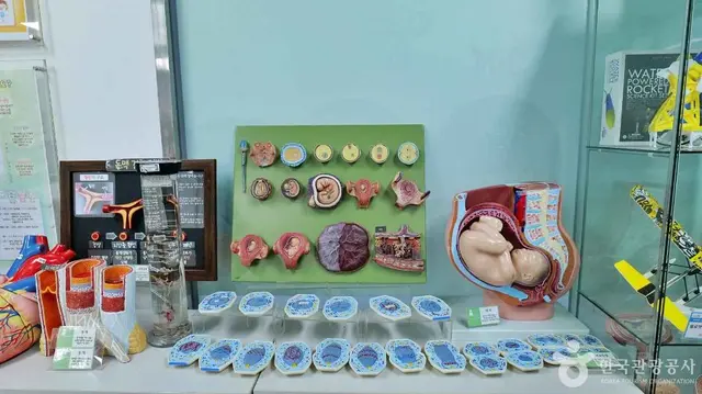 한생연 휴먼탐구과학관 사진