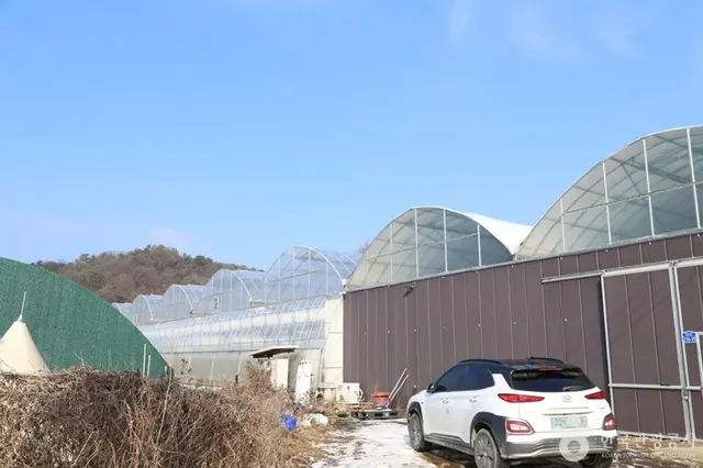 별마을딸기체험농장 사진