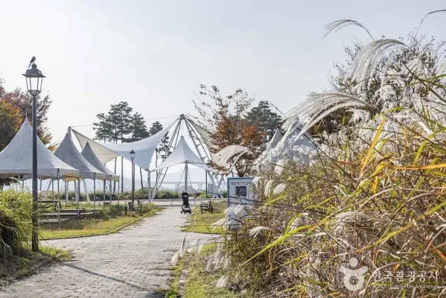숲뜰근린공원 사진