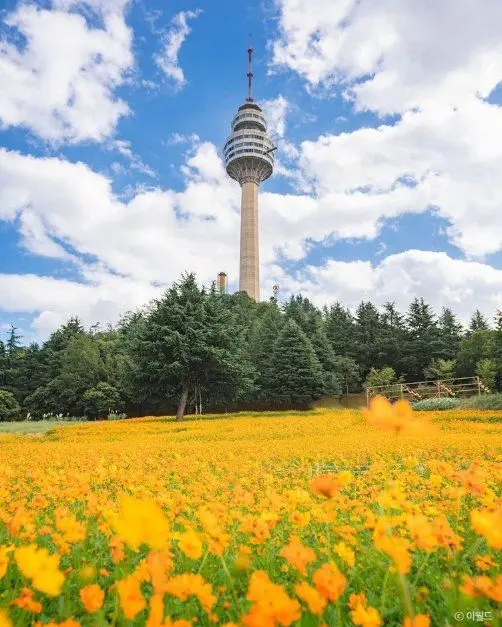 이월드 사진