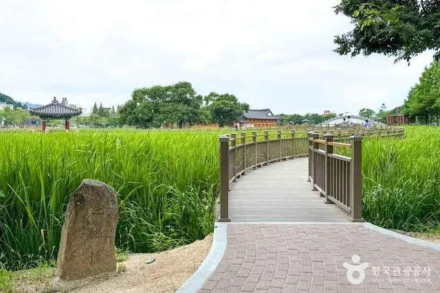 덕진공원 사진
