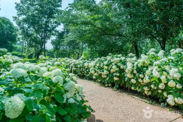 내리문화공원 사진
