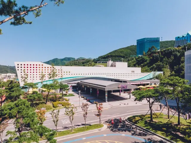 하이원워터월드 사진