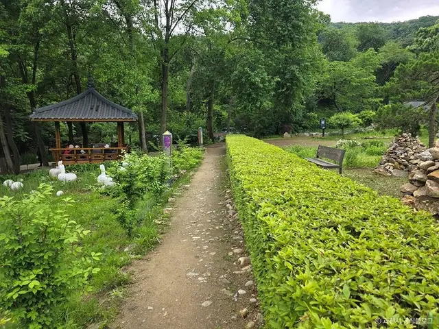 과천야생화자연학습장 사진