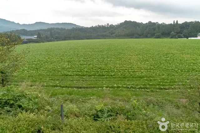 용인 청계목장 사진
