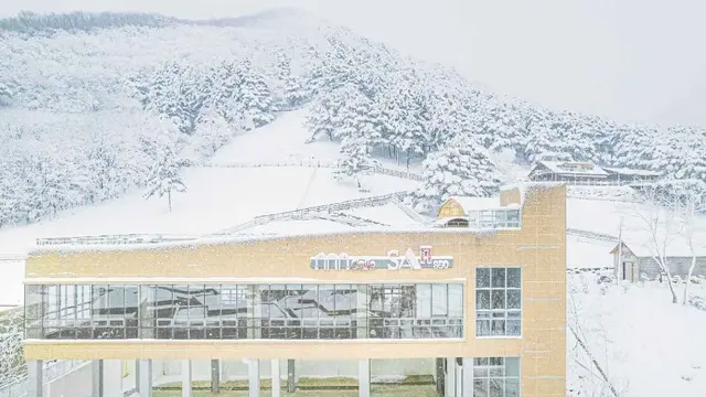 순수 양떼목장 사진
