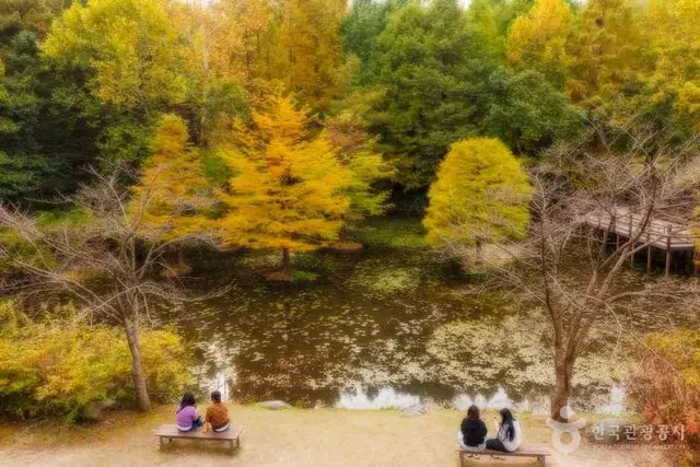 물향기수목원 사진