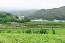 유포어촌체험마을 사진