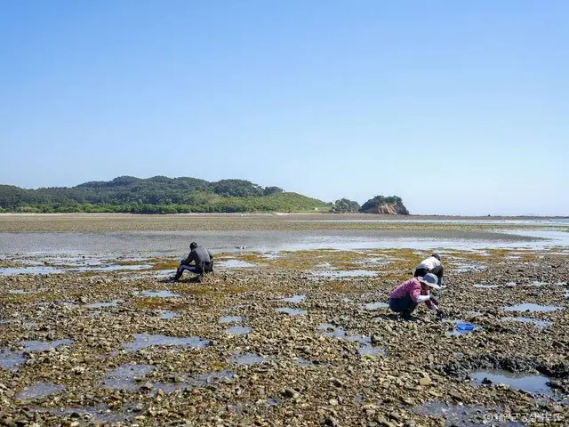 병술만어촌체험마을 사진