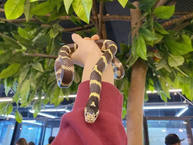 마리앤쥬 사진