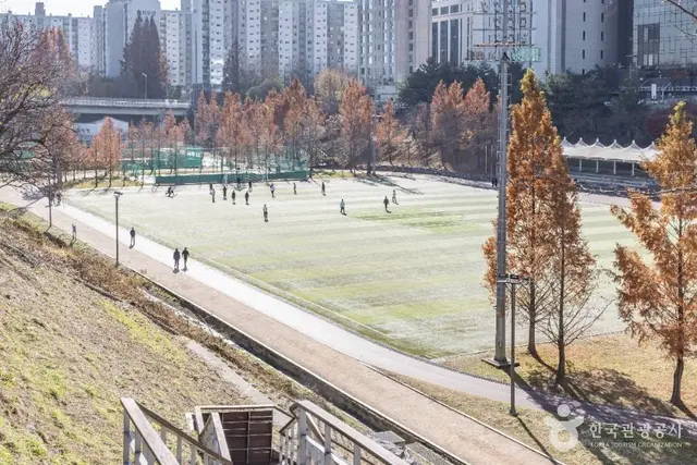 대치유수지체육공원 사진