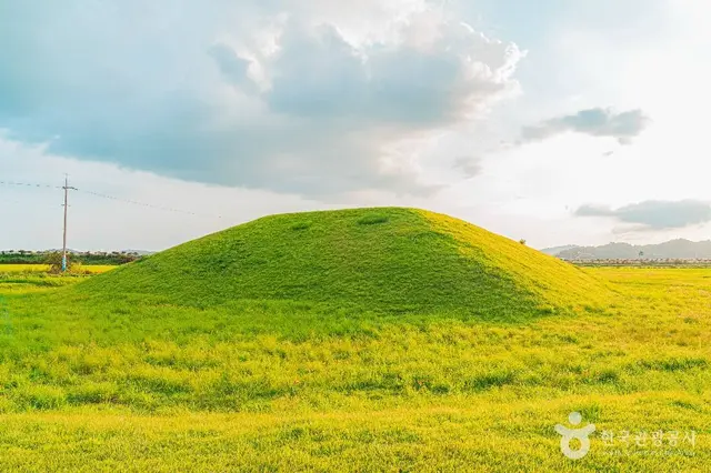 나주 복암리 고분군 사진