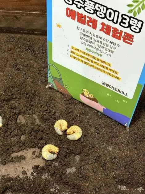 굼벵이브라더스 사진