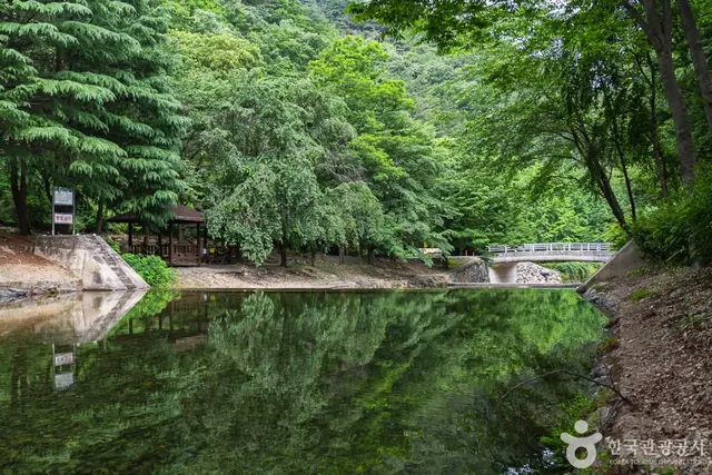 고산자연휴양림 사진