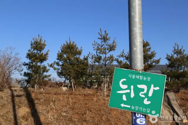 치유농장 뒤란 사진