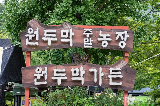 원두막주말농장 사진