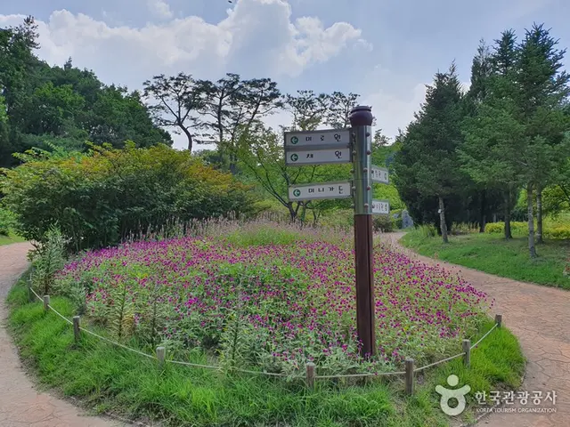 여주 황학산수목원 사진