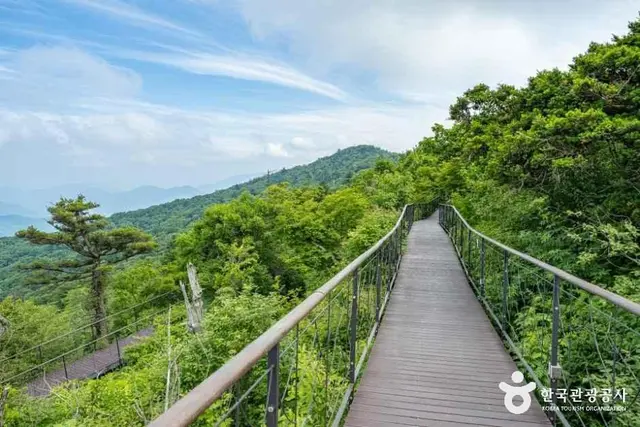모나용평 사진