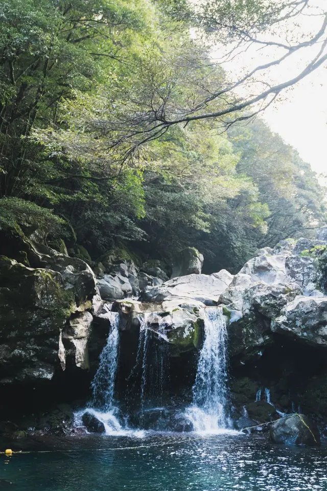 돈내코유원지 사진